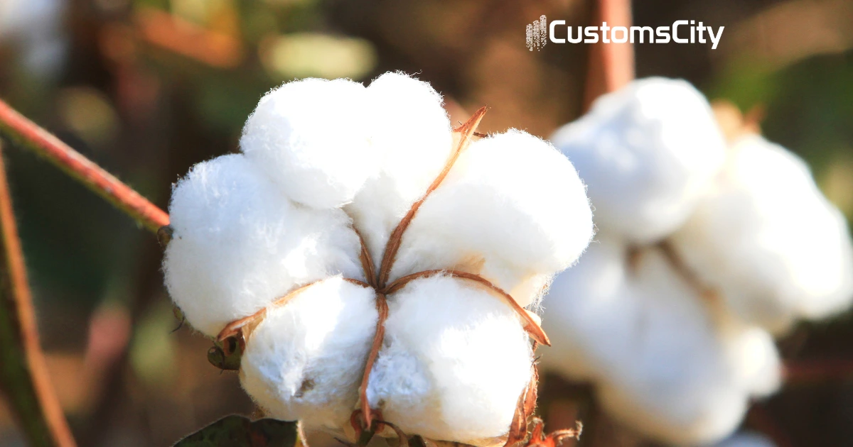 1the U.s. Cotton Fee Explained Part 2 Exemptions And How To File Them